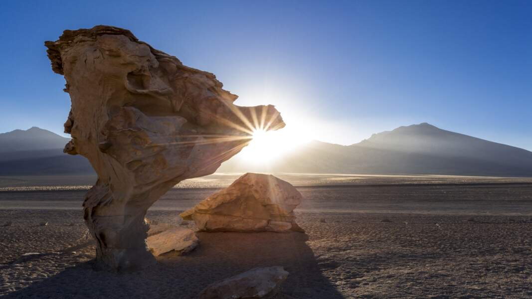 L'Árbol de Piedra, dans le désert de Siloli