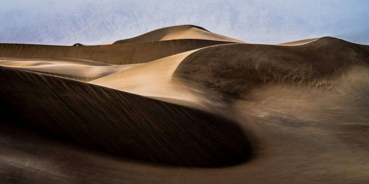 Le vent se lève sur les dunes