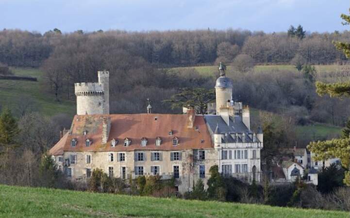 16. Le château de Veauce (Allier)