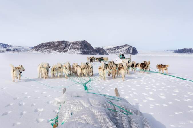 Les chasseurs de Qaanaaq chassent exclusivement avec leurs traîneaux tractés par des chiens
