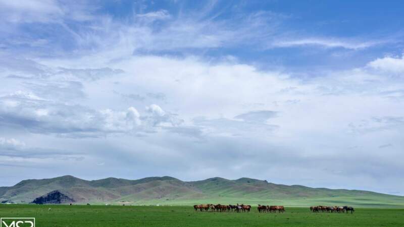 Le berceau du nomadisme mongol