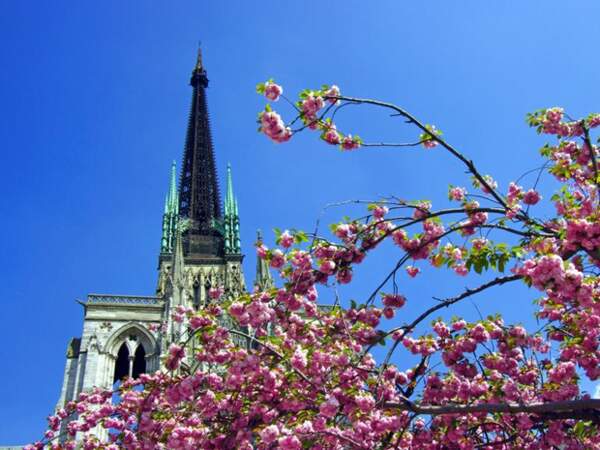 Notre-Dame de Rouen en mai, par Jean-Yves Palfray