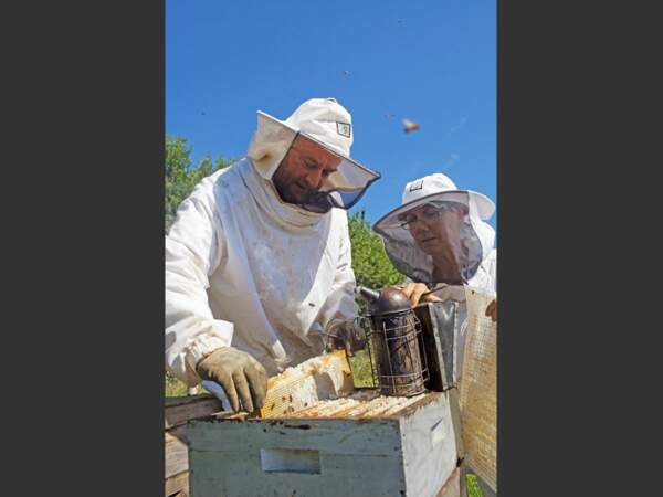 En Saône-et-Loire, les apiculteurs Dominique et Dominique Savoye résistent pour le meilleur et pour le pire.