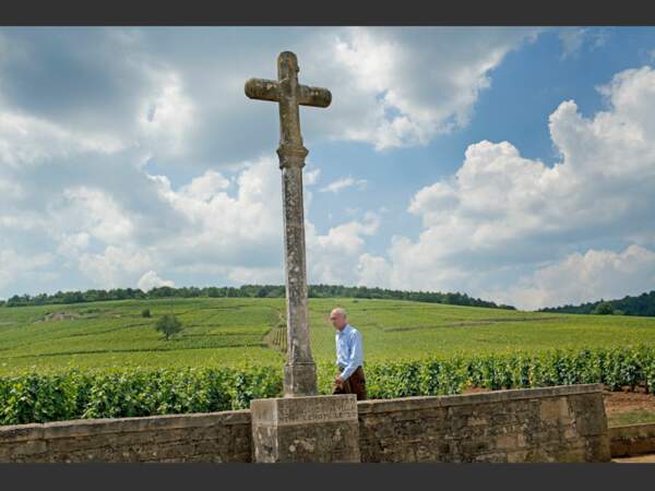 En Côte d'Or, le viticulteur Aubert de Villaine veut inscrire le climat au patrimoine.