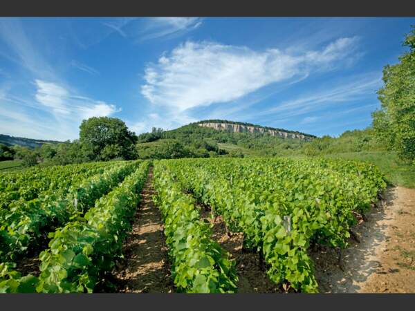 En Côte-d'Or, la falaise calcaire de Cormot surplombe les vignobles de la région de Beaune (Bourgogne, France).