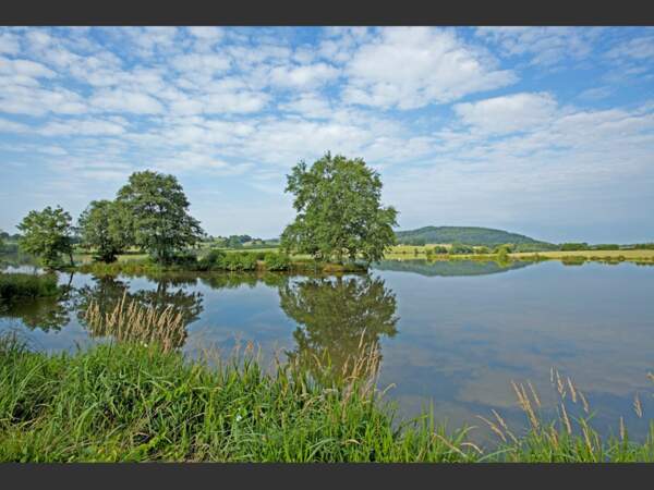 Au sud du Morvan, l’étang de Bousson offre 42 ha de silence aux pêcheurs et aux oiseaux (France).