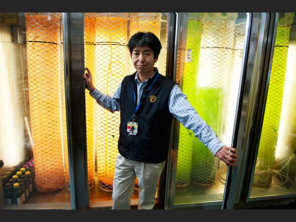 So Kawaguchi, responsable du programme de biologie du krill au l’AAD depuis 2002, à Hobart, en Tasmanie (Australie).