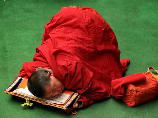 Moine novice de l'institut bouddhiste de Larung Gar, au Tibet, en Chine
