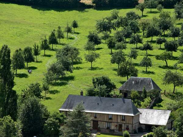 Un paysage typique du Pays d’Auge à la ferme de la galotière, à Crouttes, en Basse-Normandie