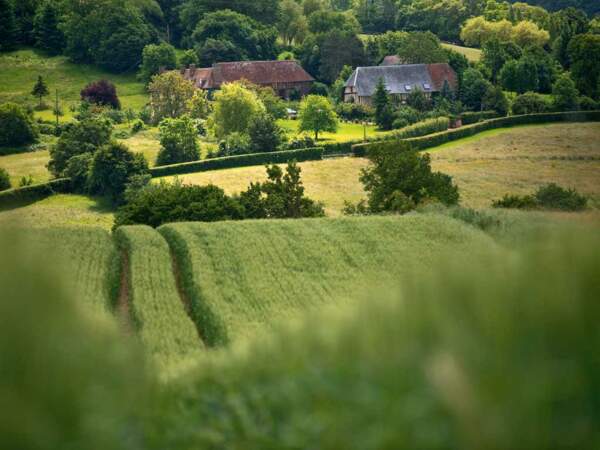 Une ferme perdue dans un vallon du Pays d’Auge, en Basse-Normandie