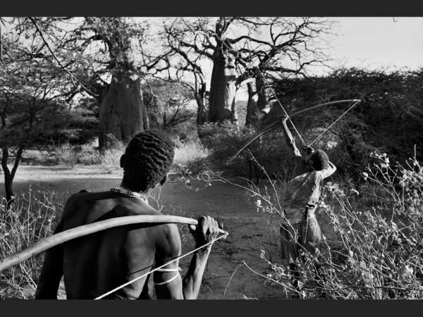 Les Hadzas chassent le gibier à l'arc, dans la région du lac Eyasi, au nord de la Tanzanie.