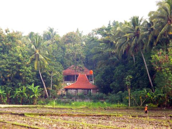 Le centre communautaire du village de Bebekan, sur l'île de Java (Indonésie).