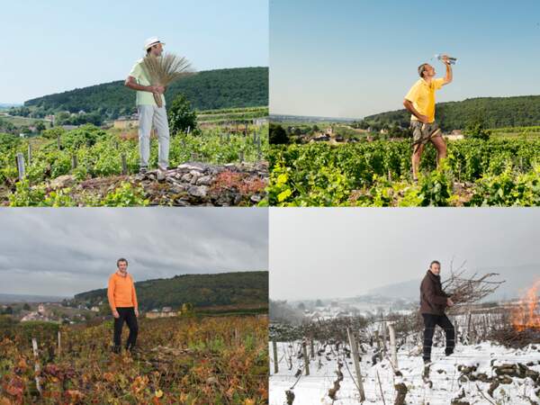 Le viticulteur Nicolas Rossignol-Trapet dans son domaine de Gevrey-Chambertin