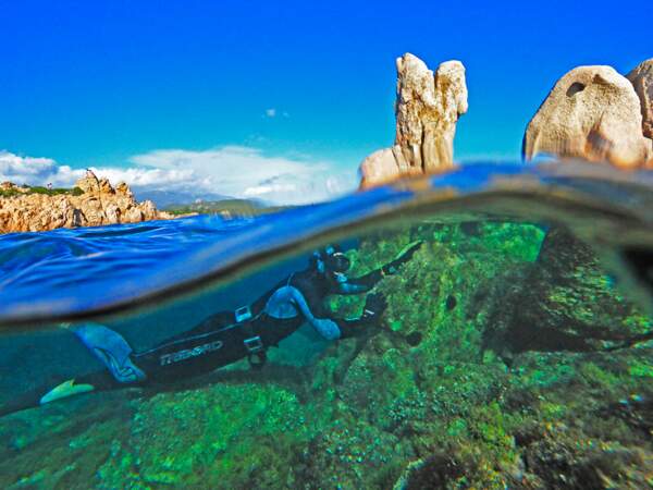 Un plongeur explore les fonds marins près de Bonifacio, en Corse