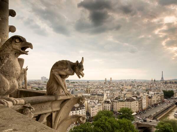 Les statues de la cathédrale Notre-Dame veillent sur Paris. 