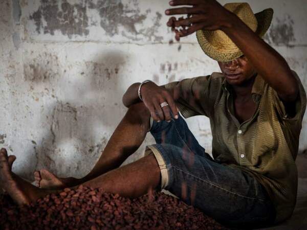 Un cultivateur trie les fèves de cacao séchées à Nosy Bé, à Madagascar