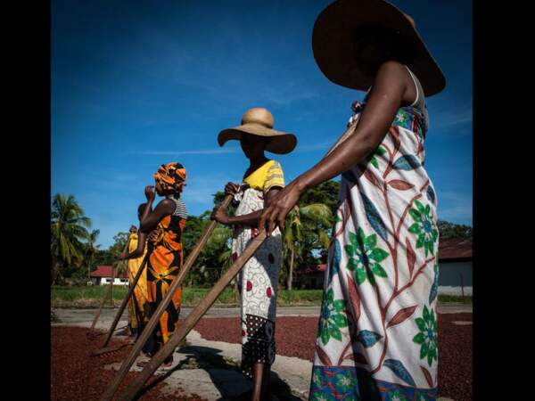 Des femmes ratissent les graines de cacao à Nosy Bé, Madagascar