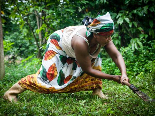 Un travail physique : une femme travaille dans les cacaoyers de Madagascar