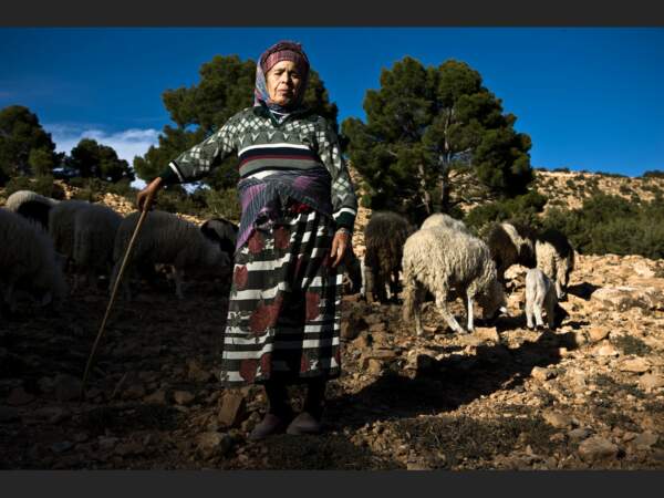 Élevage du bétail dans un village berbère du Haut-Atlas, au Maroc