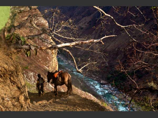Un marcheur et sa mule longent l'Apurímac, au Pérou.