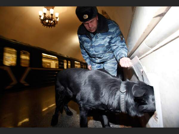Police antiterrorisme dans le métro de Moscou, en Russie