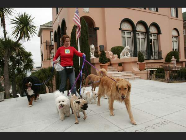 Promeneuse de chiens à Pacific Heights, à San Francisco, en Californie (Etats-Unis)