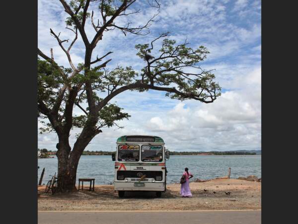 Un bus touristique, au Sri Lanka.