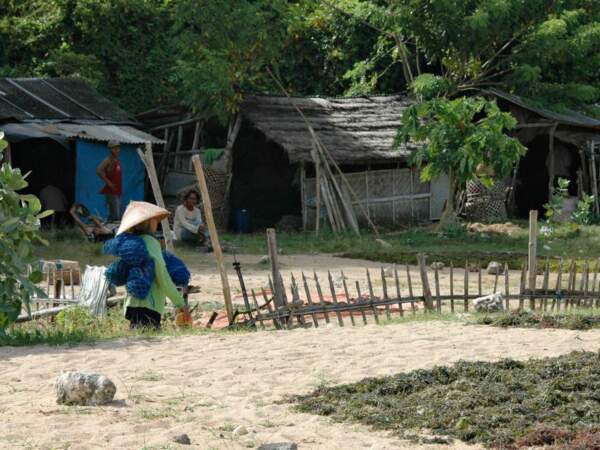 Les pêcheurs utilisent ces cabanes ombragées pour se reposer, à Nusa Dua, dans la péninsule de Bukit, sur l'île de Bali, en Indonésie