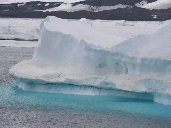 Un glacier à la dérive aux abords de Devil Island, en Antarctique
