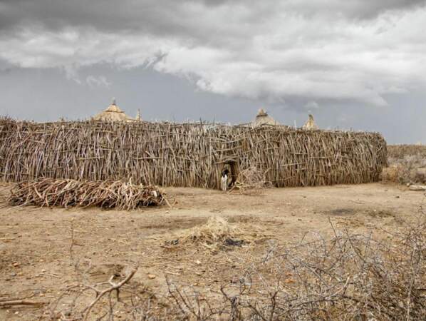 Palissade d'un village karamojong, nord de l'Ouganda