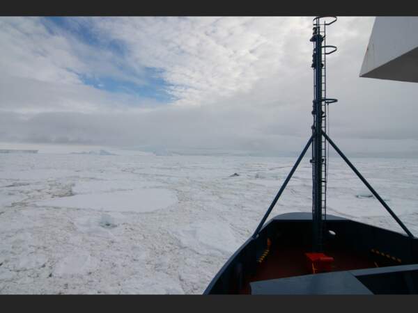 L'Astrolabe se fraie un chemin à travers le pack, cette glace disloquée et dérivante, pour atteindre la Terre Adélie (Antarctique).