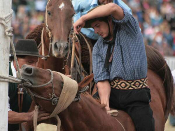 Domptage de cheval par un gaucho, Argentine