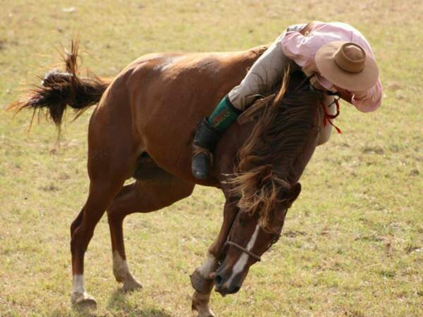 Figure audacieuse d’un gaucho sur son cheval, Argentine