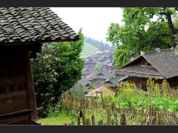 Maisons Miao du village de Basha, dans la province du Guizhou, en Chine.