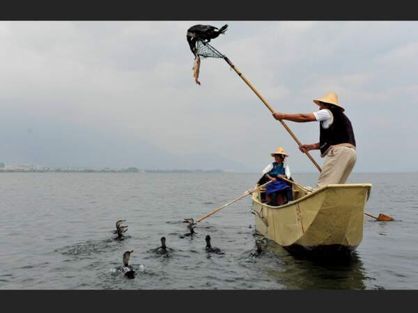Des pêcheurs du lac Erhai, dans la province de Yunnan, en Chine.