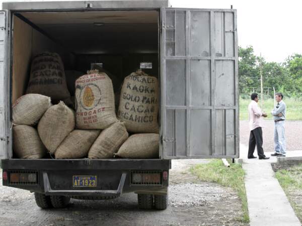 Des camions sont chargés de sacs de fèves.