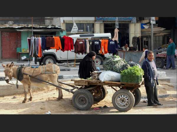 Couple de paysans venus vendre leurs produits au marché de Jabaliya en charrette (Gaza).