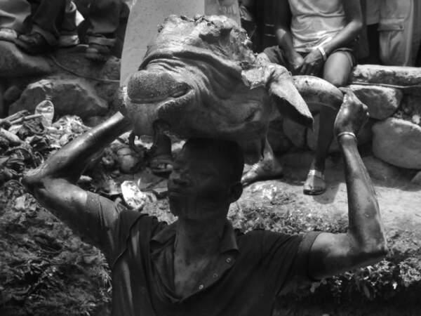 Un homme hisse son trophée suite au sacrifice du taureau (Haïti).