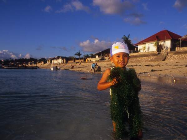 Enfant de cultivateur d’algues sur l’île de Nusa Lembongan, en Indonésie