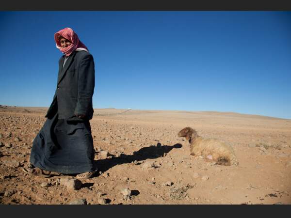 Ce berger bédouin veille sur son troupeau, en Jordanie.