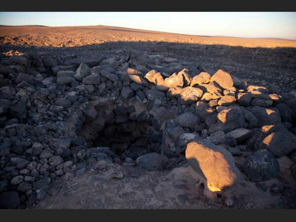 Dans le désert de Jordanie, les hyènes utilisent ces caves naturelles pour se protéger du soleil.