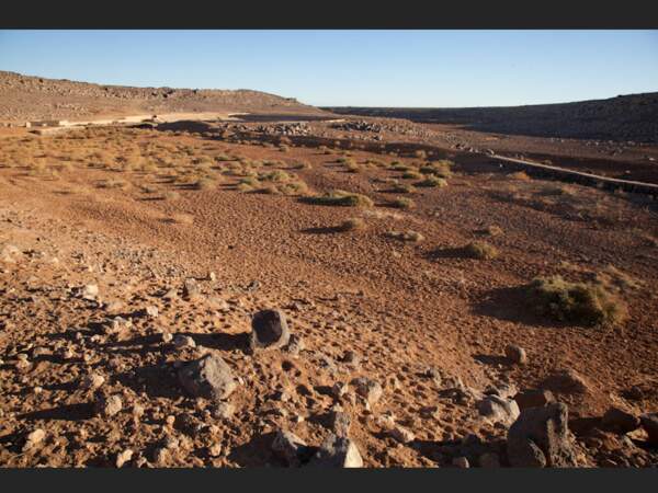 Ce désert de Jordanie est jonché de galets basaltiques, restes d'une ancienne activité volcanique.