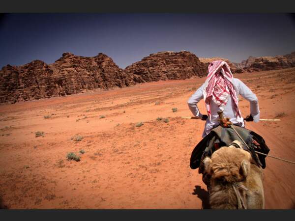 A dos de chameau dans le désert du Wadi Rum, en Jordanie.