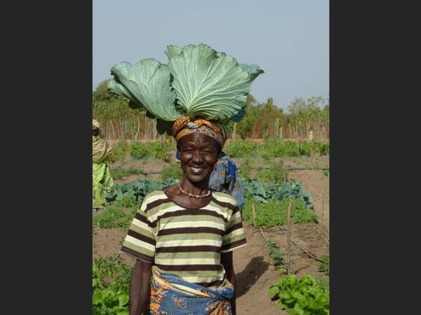 La Reine du Jardin potager africain, au Bénin