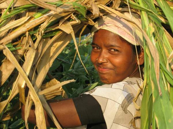 Une femme paysanne, à Patancheru, Andhra Pradesh, en Inde 