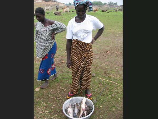 Une bassine de poissons pêchés le matin même dans le fleuve Niger, au Mali.