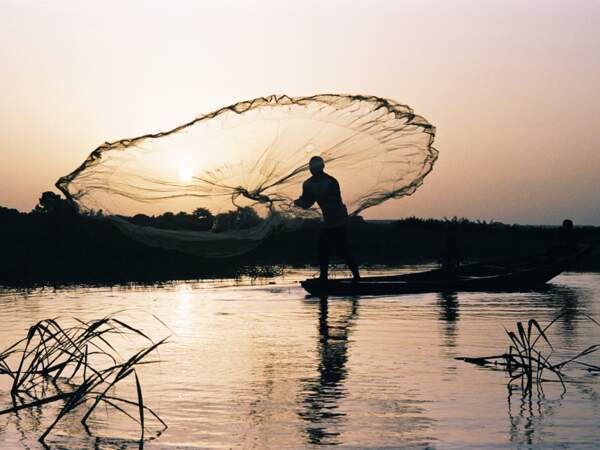Lancer de filet sur le fleuve Niger, Niamey, Niger