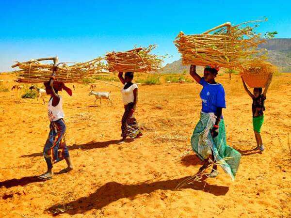 Ces femmes doivent marcher longtemps pour ramener du bois au village de Yendouma (Mali)