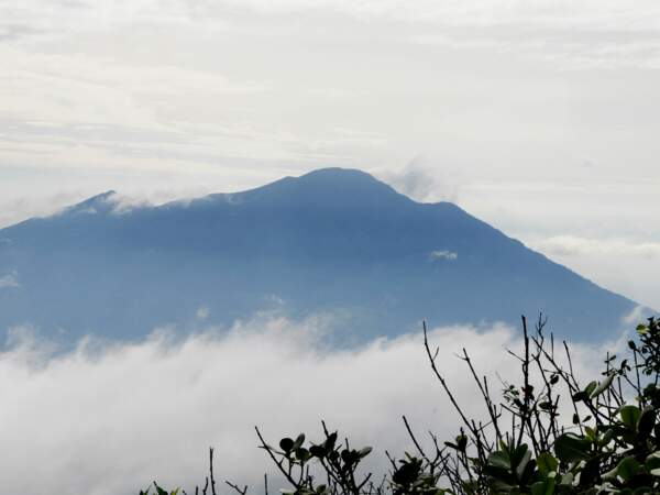Vue du volcan Maderas