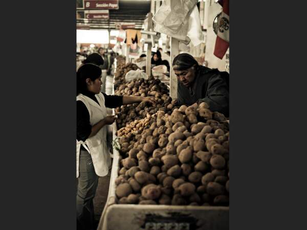 Cette maraîchère propose une incroyable variété de pommes de terre sur le marché de Cuzco (Pérou).